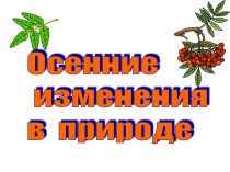 Осенние изменения в природе 1 класс