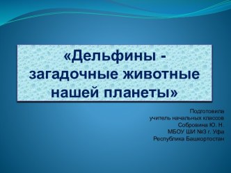 Дельфины - загадочные животные нашей планеты