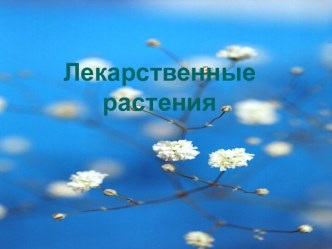 Лекарственные растения