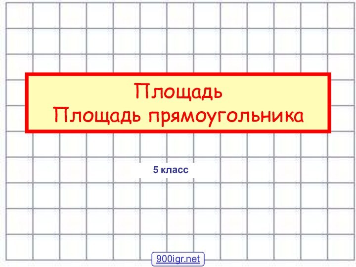 Площадь Площадь прямоугольника5 класс900igr.net