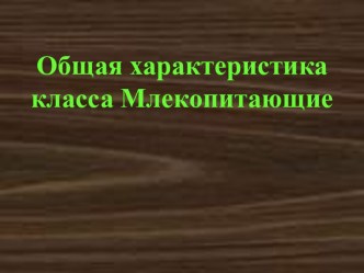 Общая характеристика класса Млекопитающие