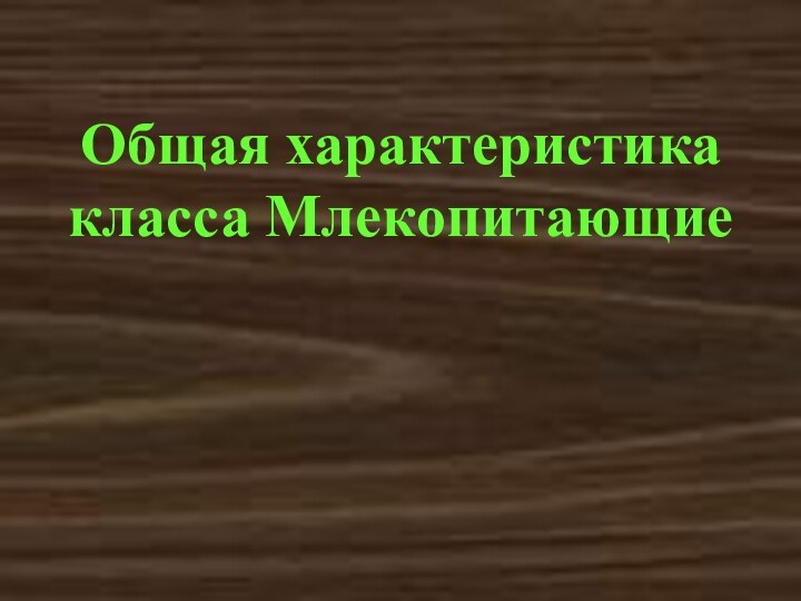 Общая характеристика класса Млекопитающие