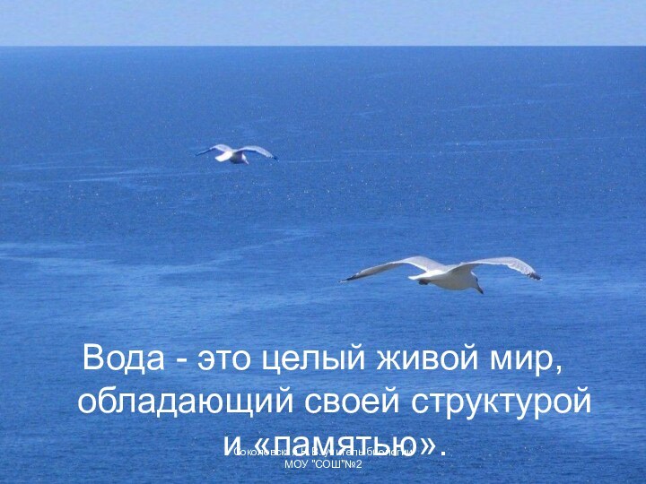 Вода - это целый живой мир, обладающий своей структурой и «памятью». Соколовская