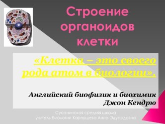 Строение органоидов клетки