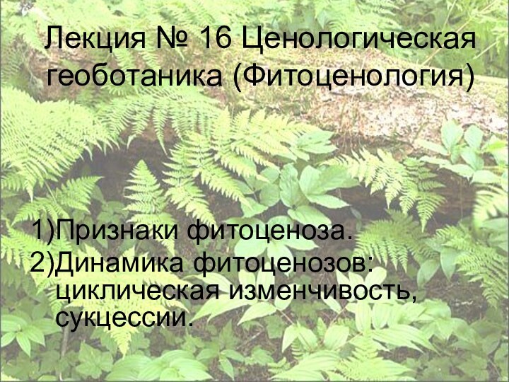 Лекция № 16 Ценологическая геоботаника (Фитоценология)Признаки фитоценоза. Динамика фитоценозов: циклическая изменчивость, сукцессии.