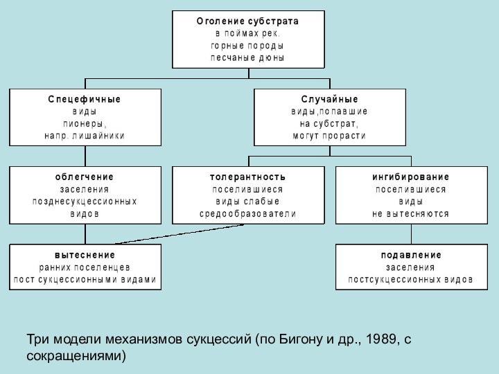 Три модели механизмов сукцессий (по Бигону и др., 1989, с сокращениями)