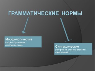 Грамматические нормы