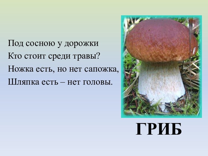 Под сосною у дорожкиКто стоит среди травы?Ножка есть, но нет сапожка, Шляпка есть – нет головы.