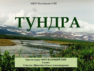 Тундра 4 класс