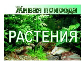 Живая природа Растения