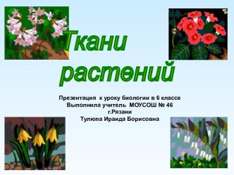 Ткани растений 6 класс