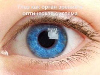 Глаз как орган зрения и оптическая система.
