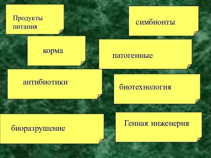 Продукты питаниякормаантибиотикибиоразрушениесимбионтыпатогенныебиотехнологияГенная инженерия