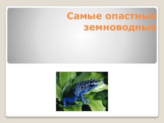 Опасные земноводные