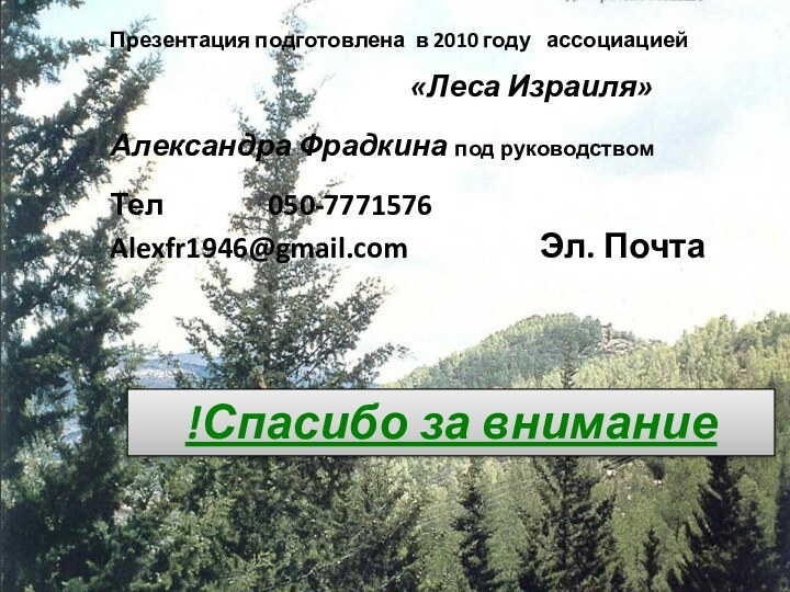 Спасибо за внимание!Презентация подготовлена в 2010 году  ассоциацией«Леса Израиля»