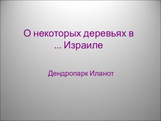 О некоторых деревьях в Израиле