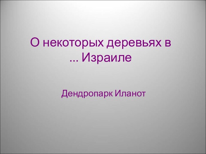 О некоторых деревьях в Израиле ...Дендропарк Иланот