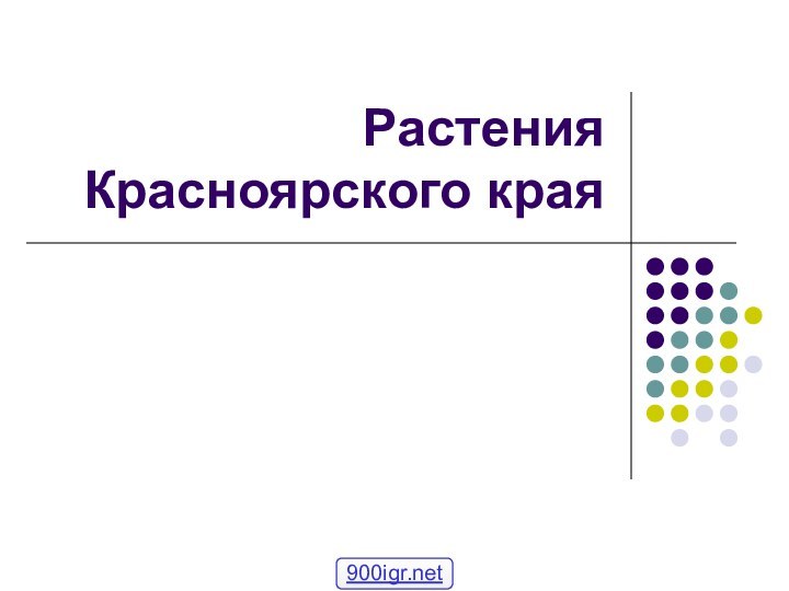 Растения Красноярского края