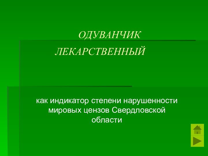 ОДУВАНЧИК