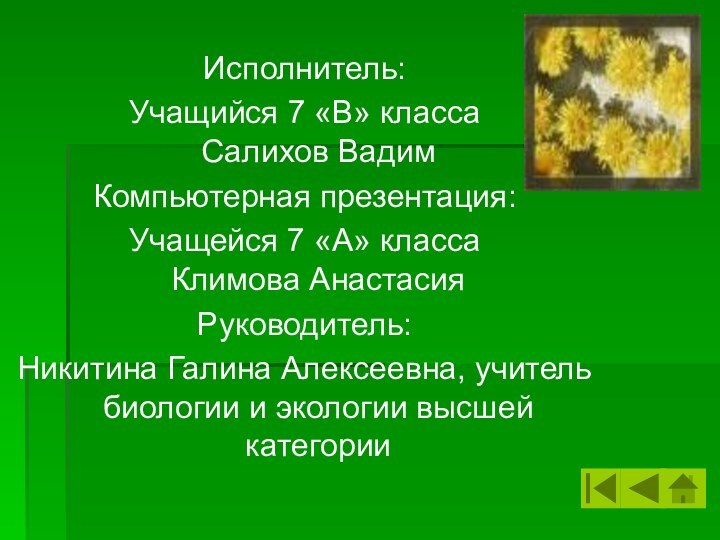 Исполнитель:Учащийся 7 «В» класса