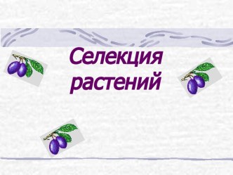 Селекция растений