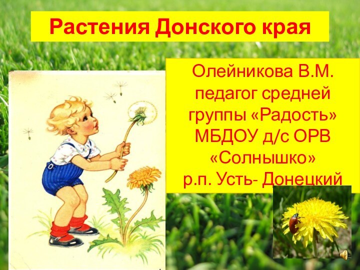 Растения Донского краяОлейникова В.М. педагог средней группы «Радость» МБДОУ д/с ОРВ «Солнышко» р.п. Усть- Донецкий