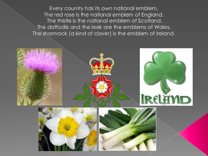 Every country has its own national emblem.  The red rose