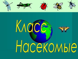 класс Насекомые