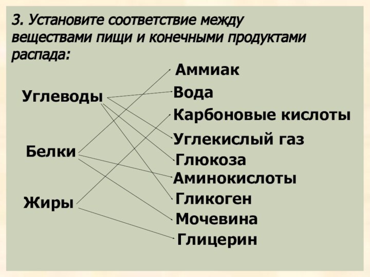 3. Установите соответствие между веществами пищи и конечными продуктами распада:Углеводы Белки Жиры