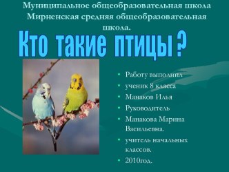 Кто такие птицы?