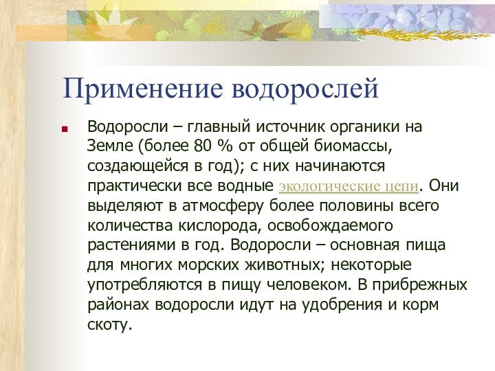 Применение водорослейВодоросли – главный источник органики на Земле (более 80 % от