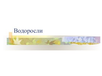 Водоросли