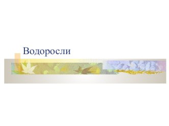 Водоросли