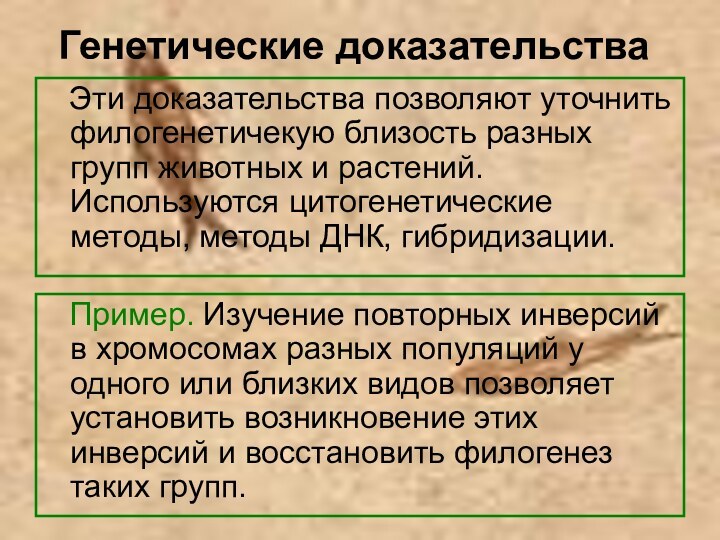 Генетические доказательства  Эти доказательства позволяют уточнить филогенетичекую близость разных групп животных