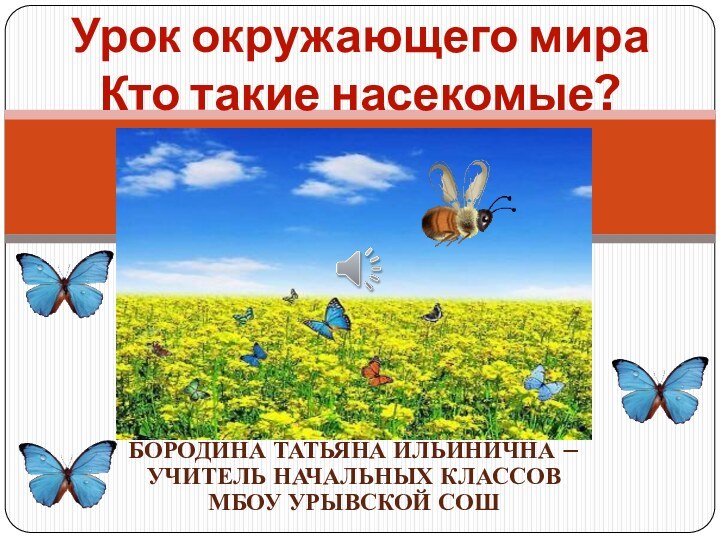 Бородина Татьяна Ильинична – учитель начальных классов МБОУ Урывской СОШУрок окружающего мира Кто такие насекомые?