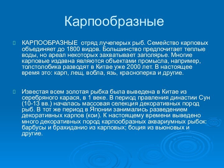 КарпообразныеКАРПООБРАЗНЫЕ отряд лучеперых рыб. Семейство карповых объединяет до 1800 видов. Большинство предпочитает