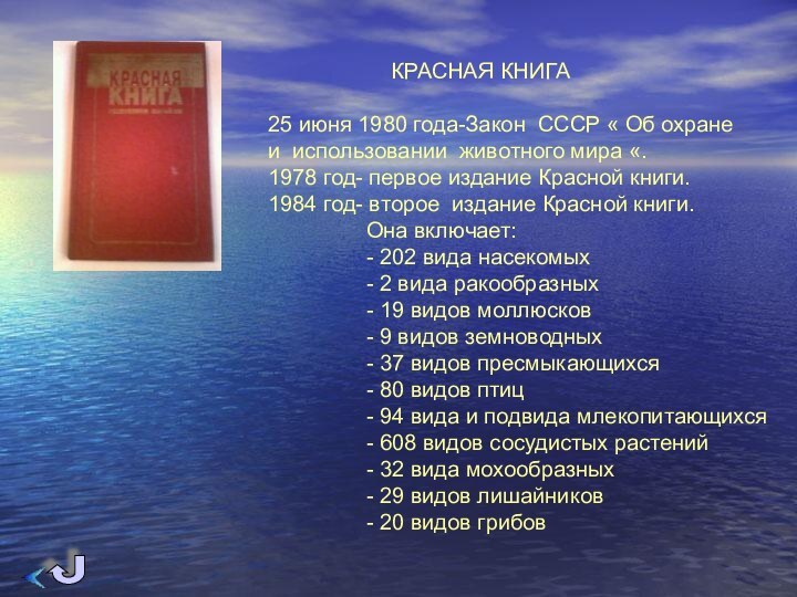 КРАСНАЯ КНИГА25