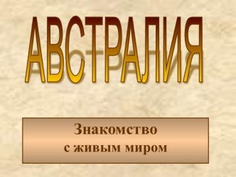 Животный мир Австралии