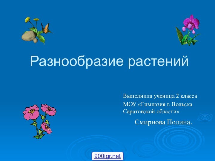 Разнообразие растенийВыполнила ученица 2 классаМОУ «Гимназия г. Вольска Саратовской области»Смирнова Полина.