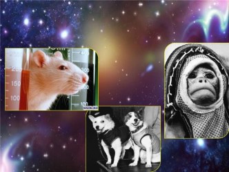 Жизнь в космосе