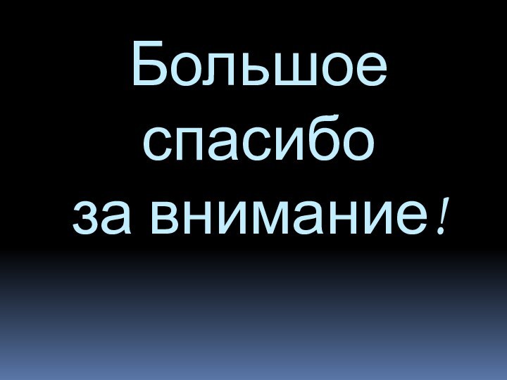 Большое  спасибо за внимание!