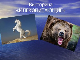 Викторина МЛЕКОПИТАЮЩИЕ