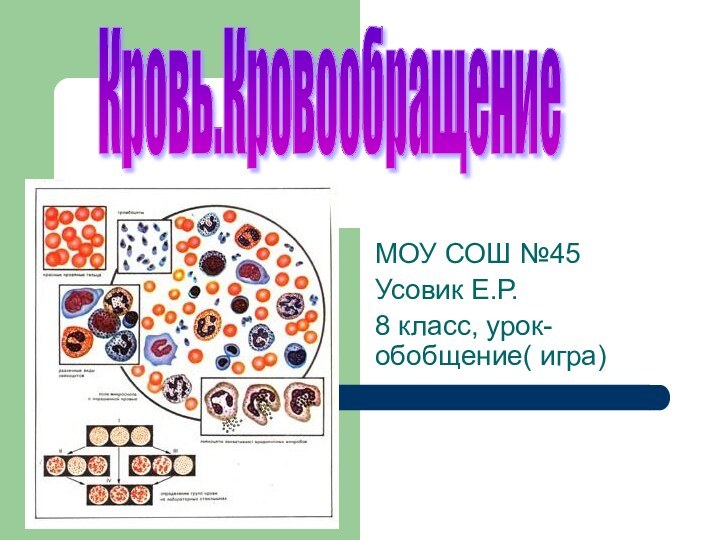 МОУ СОШ №45Усовик Е.Р.8 класс, урок- обобщение( игра)Кровь.Кровообращение