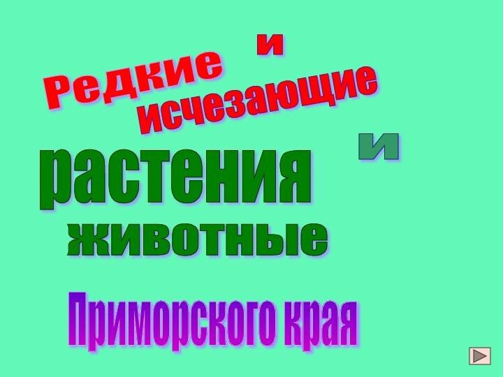 Редкие исчезающие растения и животные Приморского края и