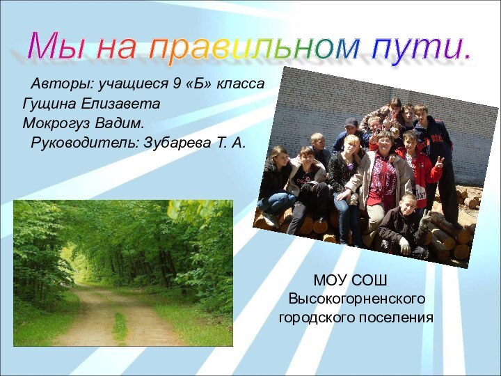 Авторы: учащиеся 9 «Б» класса Гущина Елизавета Мокрогуз Вадим. Руководитель: Зубарева