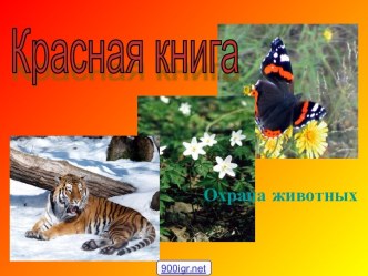 Животные Красной книги