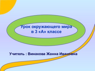 Урок окружающего мира в 3 А классе