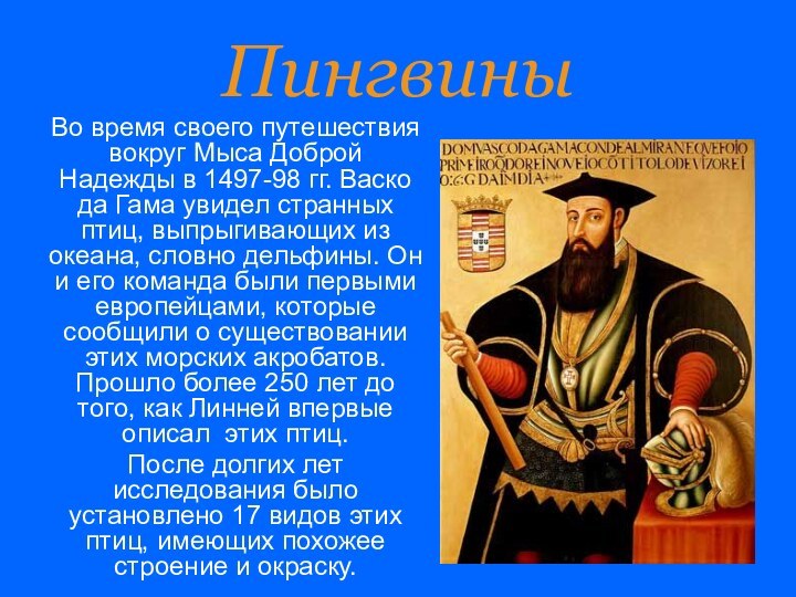 Пингвины Во время своего путешествия вокруг Мыса Доброй Надежды в 1497-98 гг.