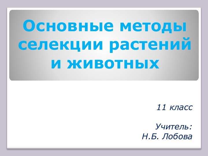 Основные методы селекции растений и животных11 классУчитель: Н.Б. Лобова