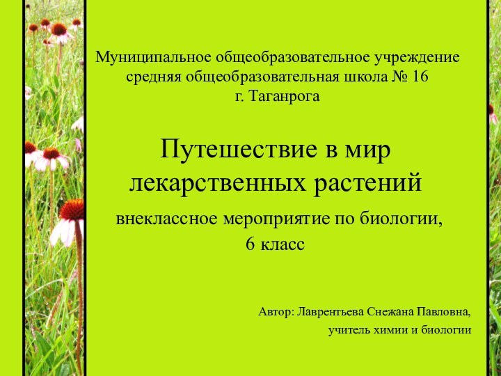 Путешествие в мир лекарственных растений  внеклассное мероприятие по биологии,  6